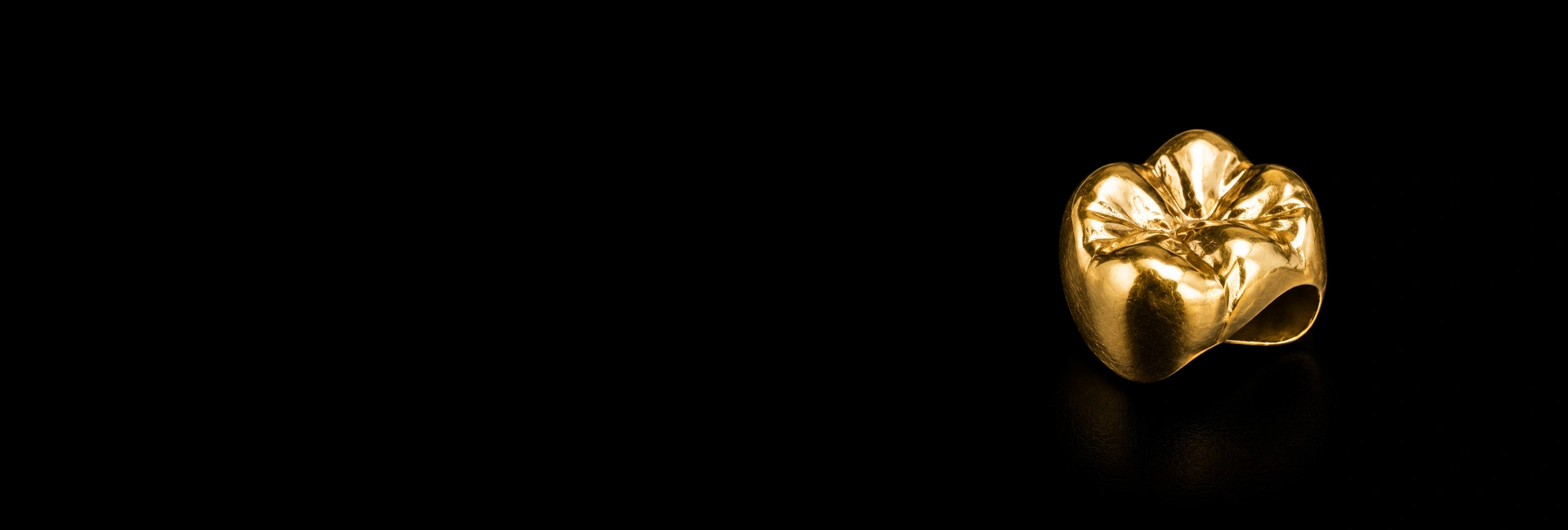 about bg fsge